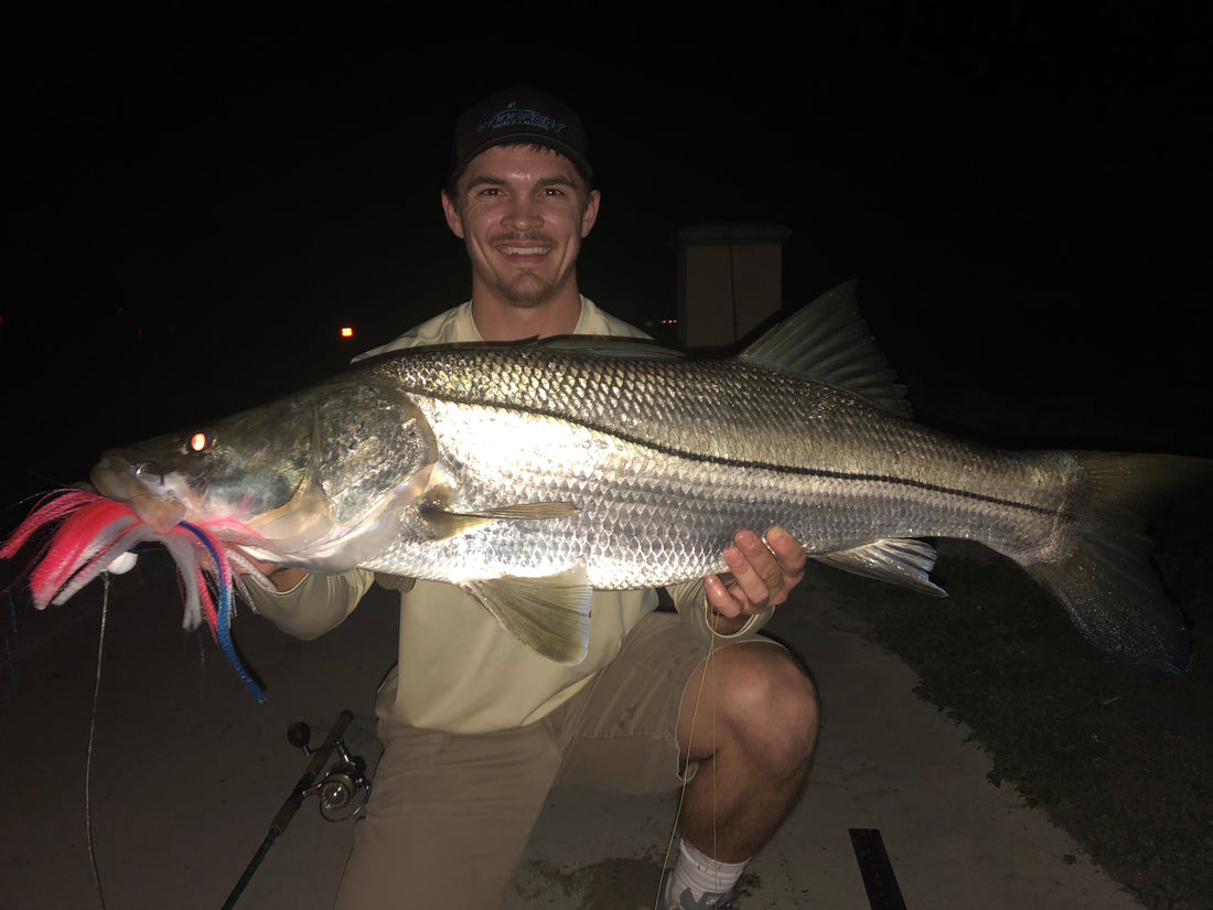 "Jigging" for Big Snook