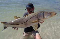 Land Based Snook Fishing