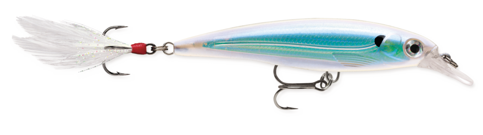 RAPALA X-RAP XR10 - Dogfish Tackle & Marine