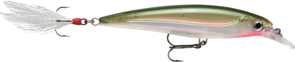 RAPALA X-RAP XR10 - Dogfish Tackle & Marine