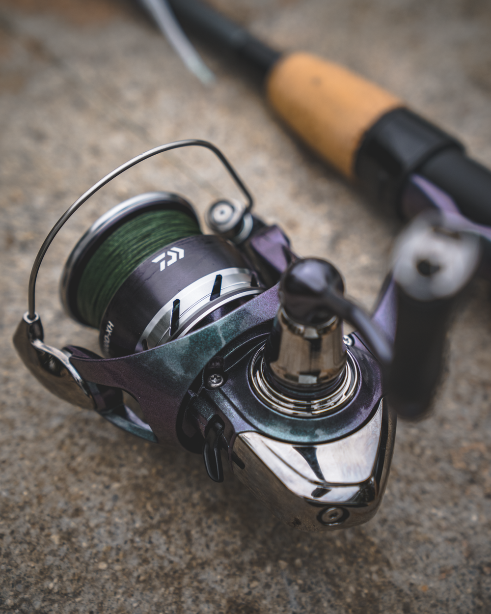 Daiwa 24 Regal Lt Spinning Reel - Dogfish Tackle & Marine