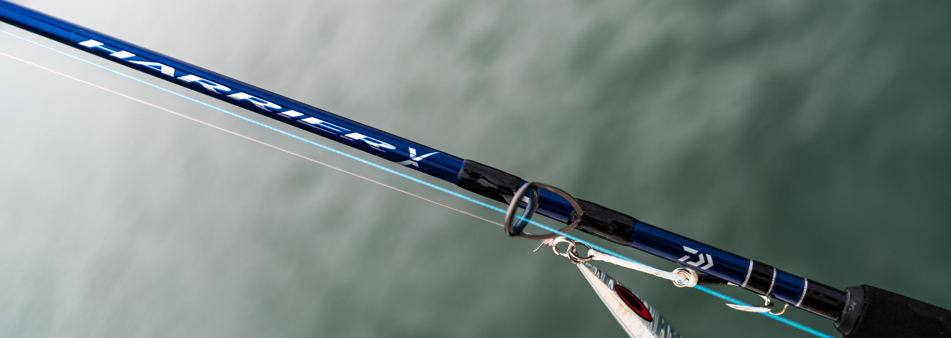 Daiwa Harrier X Rods - Dogfish Tackle & Marine