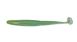 GAMBLER 6” Slim EZ - Dogfish Tackle & Marine