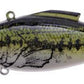 Bill Lewis Rattle Trap - Dogfish Tackle & Marine