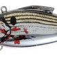 Bill Lewis Rattle Trap - Dogfish Tackle & Marine