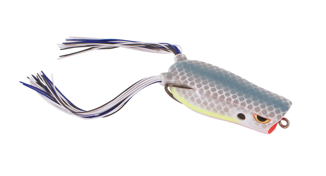 SPRO bronzeye pop frog dean Rojas - Dogfish Tackle & Marine