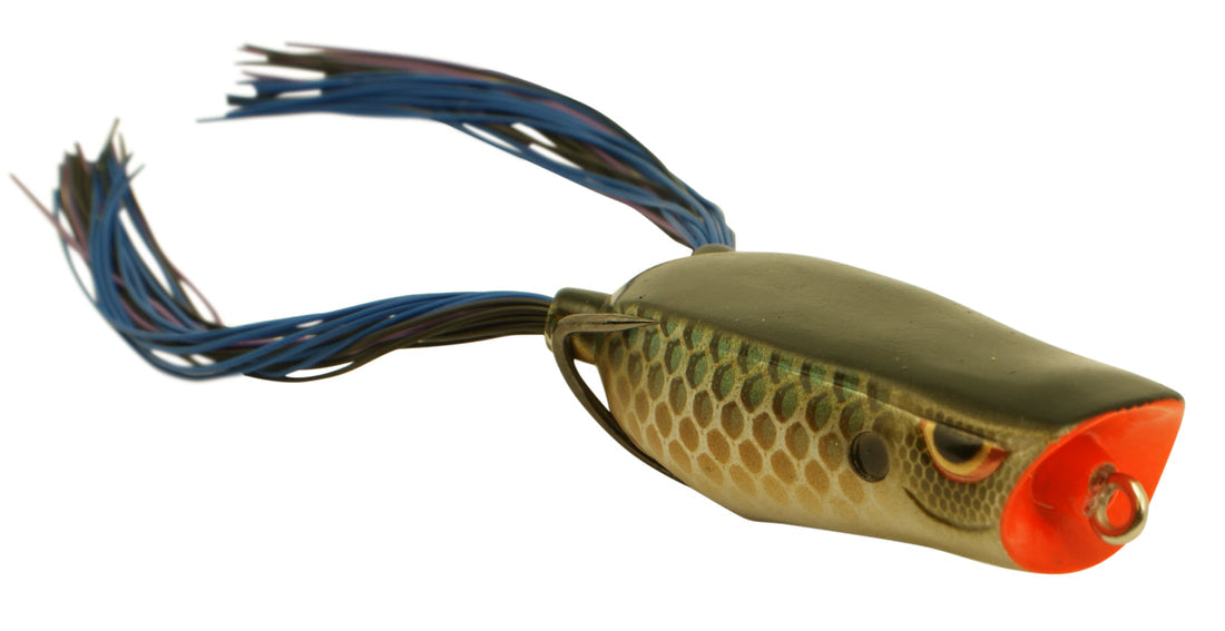 SPRO bronzeye pop frog dean Rojas - Dogfish Tackle & Marine