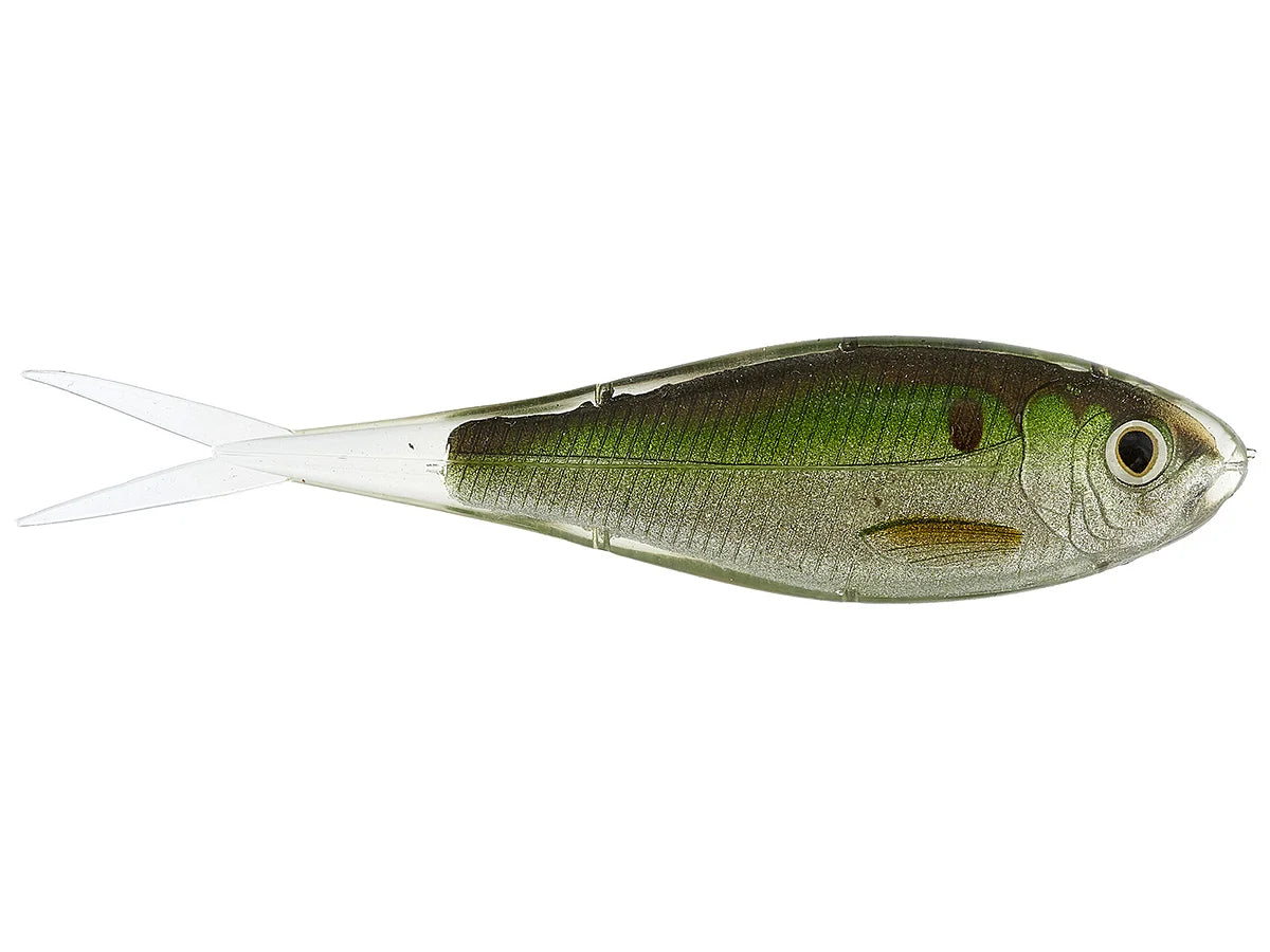 Live Target Skip Shad - Dogfish Tackle & Marine