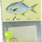 HFdepot Pompano Jigger Fleas - Dogfish Tackle & Marine