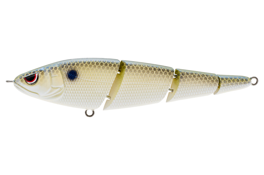 SPRO SASHIMMY SWIMMER 125 - Dogfish Tackle & Marine