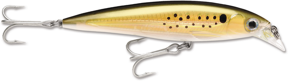 RAPALA X-RAP SXR12 - Dogfish Tackle & Marine