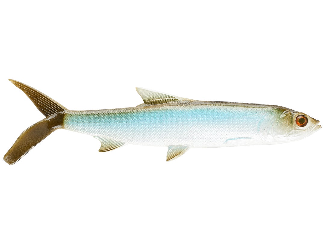 13 Fishing Coalition The Ladyfish Swimbait - Dogfish Tackle & Marine