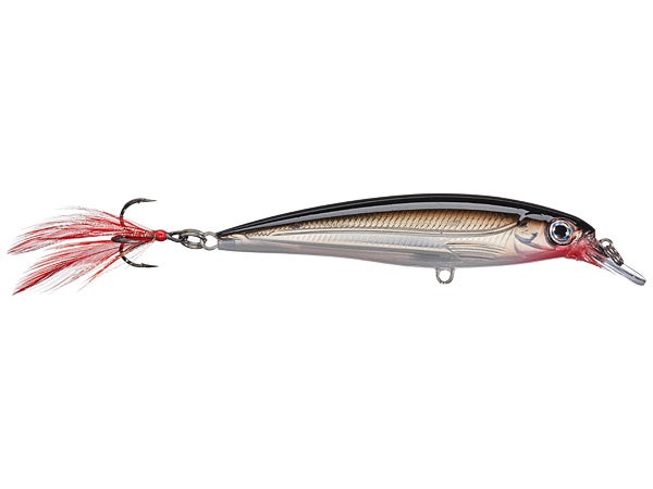 RAPALA X-RAP XR10 - Dogfish Tackle & Marine