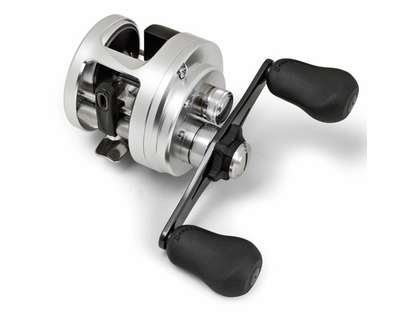 Shimano Calcutta D Series - Dogfish Tackle & Marine