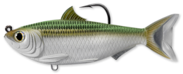 Live Target Sardine - Dogfish Tackle & Marine