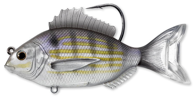 Live Target Pinfish Swim Bait - Dogfish Tackle & Marine