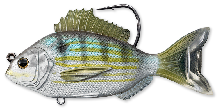 Live Target Pinfish Swim Bait - Dogfish Tackle & Marine