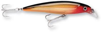 Rapala X Rap SXR10 - Dogfish Tackle & Marine