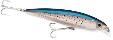 Rapala X Rap SXR10 - Dogfish Tackle & Marine