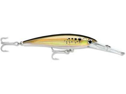 Rapala X-Rap Magnum - Dogfish Tackle & Marine